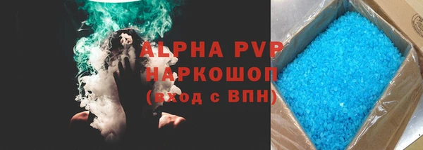 сатива Лабытнанги