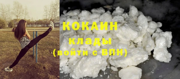 сатива Лабытнанги