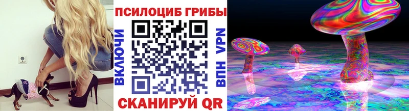 Галлюциногенные грибы Psilocybe  блэк спрут маркетплейс  Новоаннинский 
